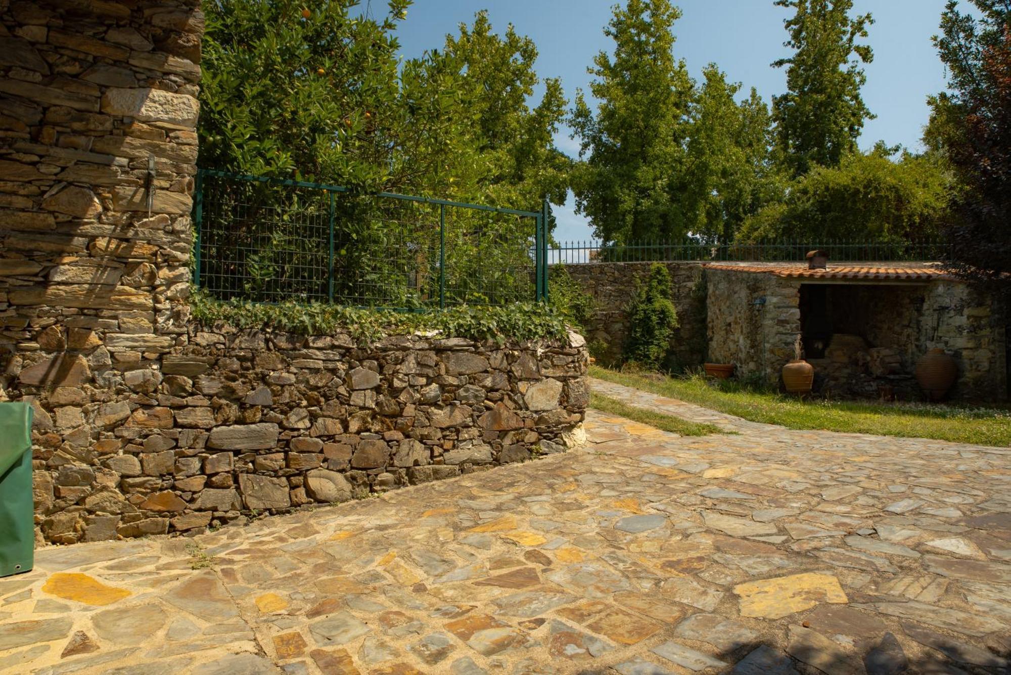 Villa A Sobreirinha Jacuzzi E Pet Friendly à Sobreira Formosa Extérieur photo