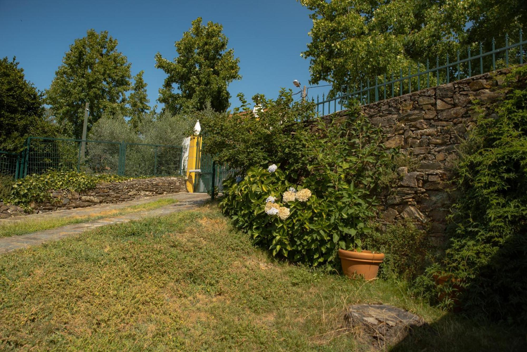 Villa A Sobreirinha Jacuzzi E Pet Friendly à Sobreira Formosa Extérieur photo
